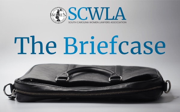 The Briefcase