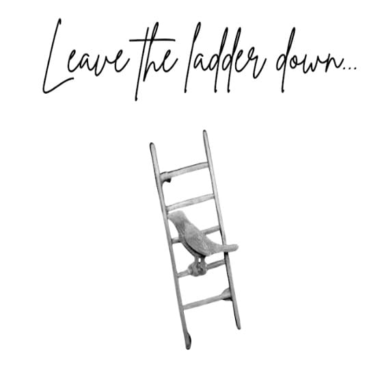 Drawing of a Ladder with Bird Sitting on on Rung